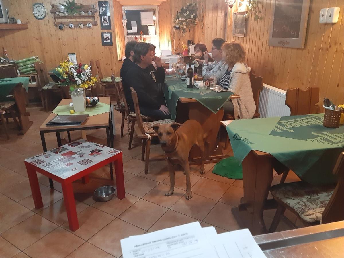 Pension Mikulka Mikulov v Krusnych Horach Экстерьер фото