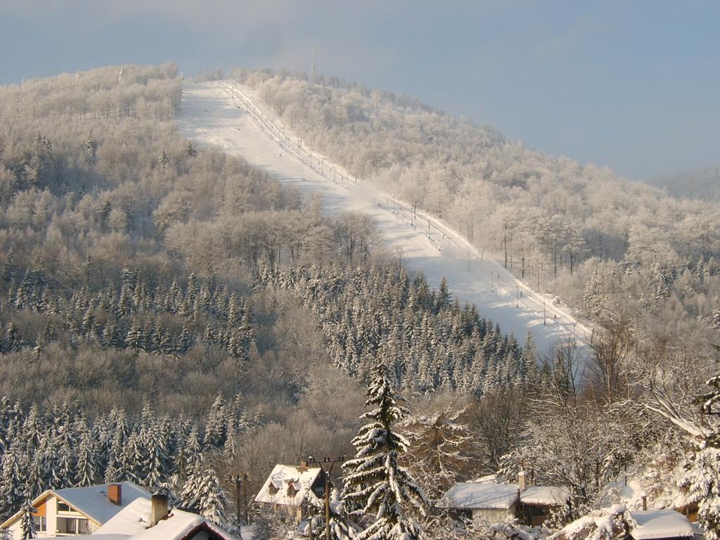 Pension Mikulka Mikulov v Krusnych Horach Экстерьер фото